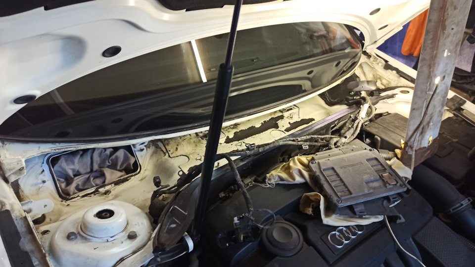 занимался дверями и акустикой, добавил вибры эстетики ради и наличию материала в достатке — Audi A3 Sportback (8PA)