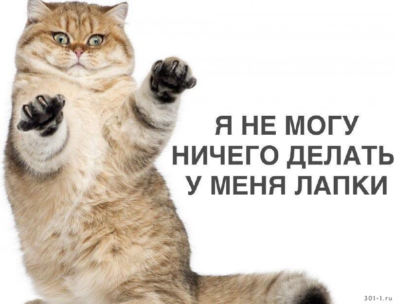 Картинка с надписью нечего не делают
