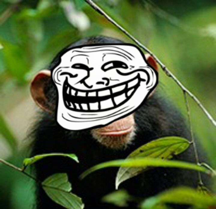 Фото в бортжурнале KIA Ceed (1G)