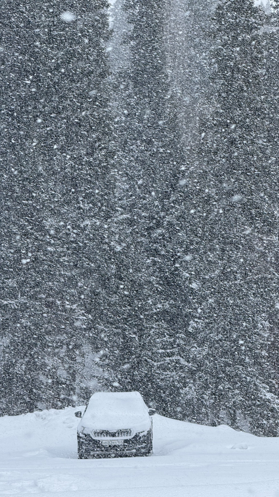 Фото в бортжурнале Skoda Kodiaq (1G)