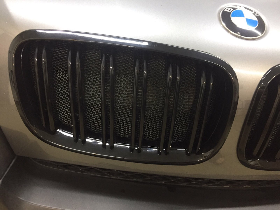 Сетка в ноздри — BMW X5 (E70), 4,8 л, 2008 года | стайлинг | DRIVE2