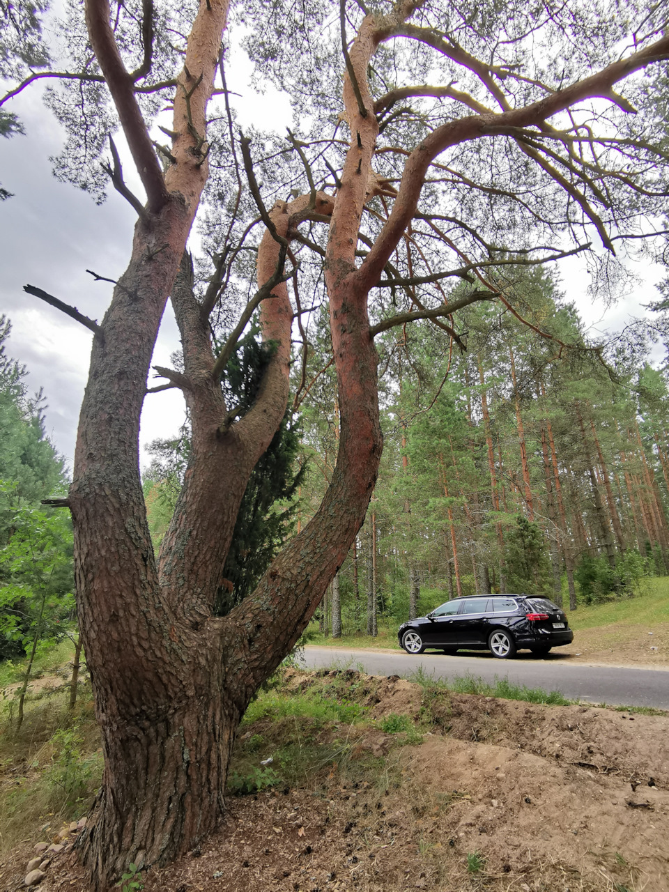 Фото в бортжурнале Volkswagen Passat Variant (B8)