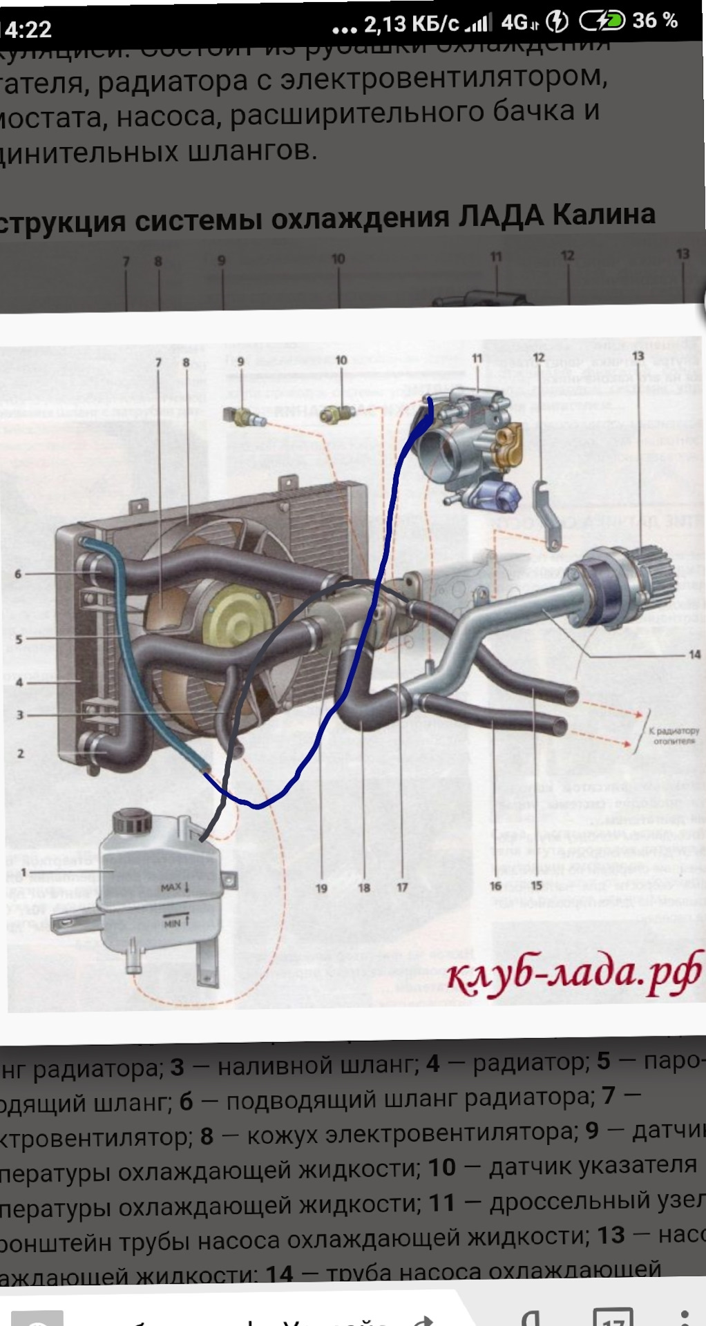Система охлаждения калина 1118. Система охлаждения двигателя Калина 8 клапанов с электронной педалью. Система охлаждения двигателя Калина 8. Система охлаждения Лада Приора 16 клапанов. Система охлаждения Калина 1.4.