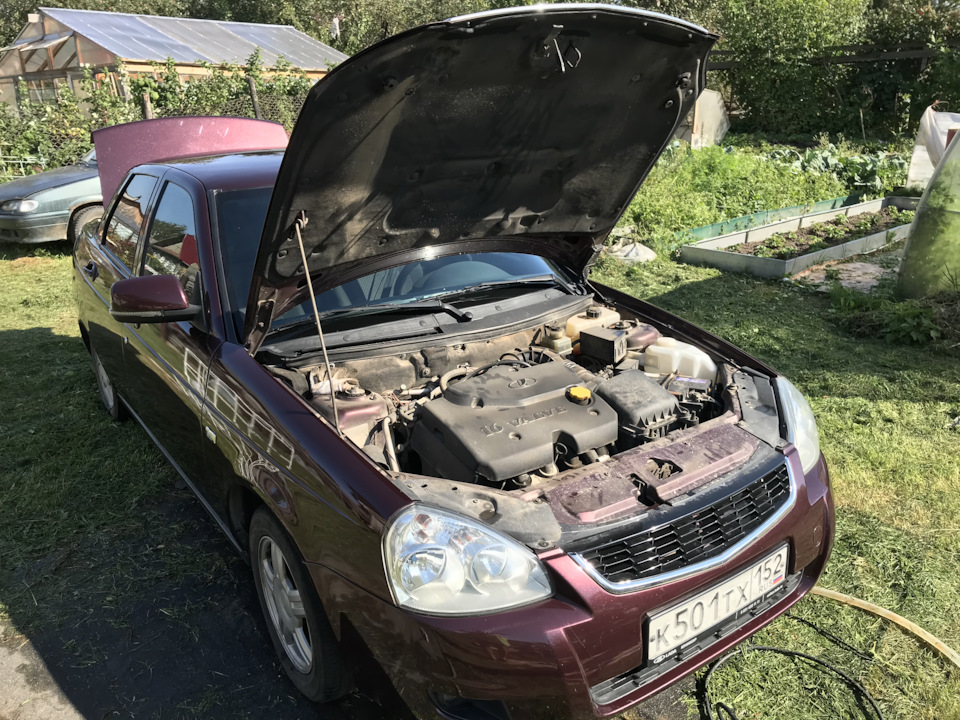 #20 просто мойка, и мойка под капотом) — Lada Приора седан, 1,6 л, 2012 ...