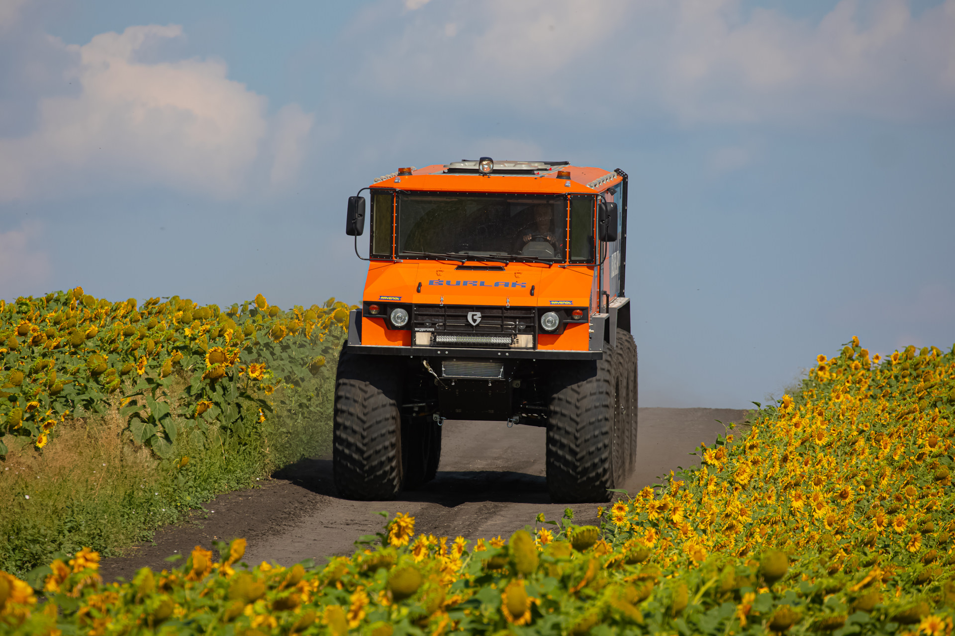 Такого вы точно не видели: вездеход «Бурлак» в подсолнухах — Вездеход ...