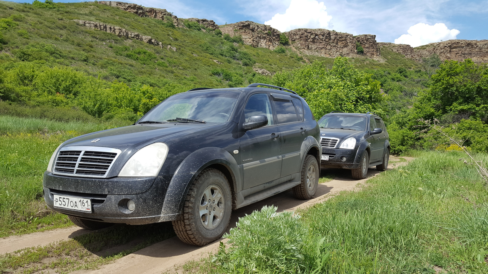 Rexton отзывы