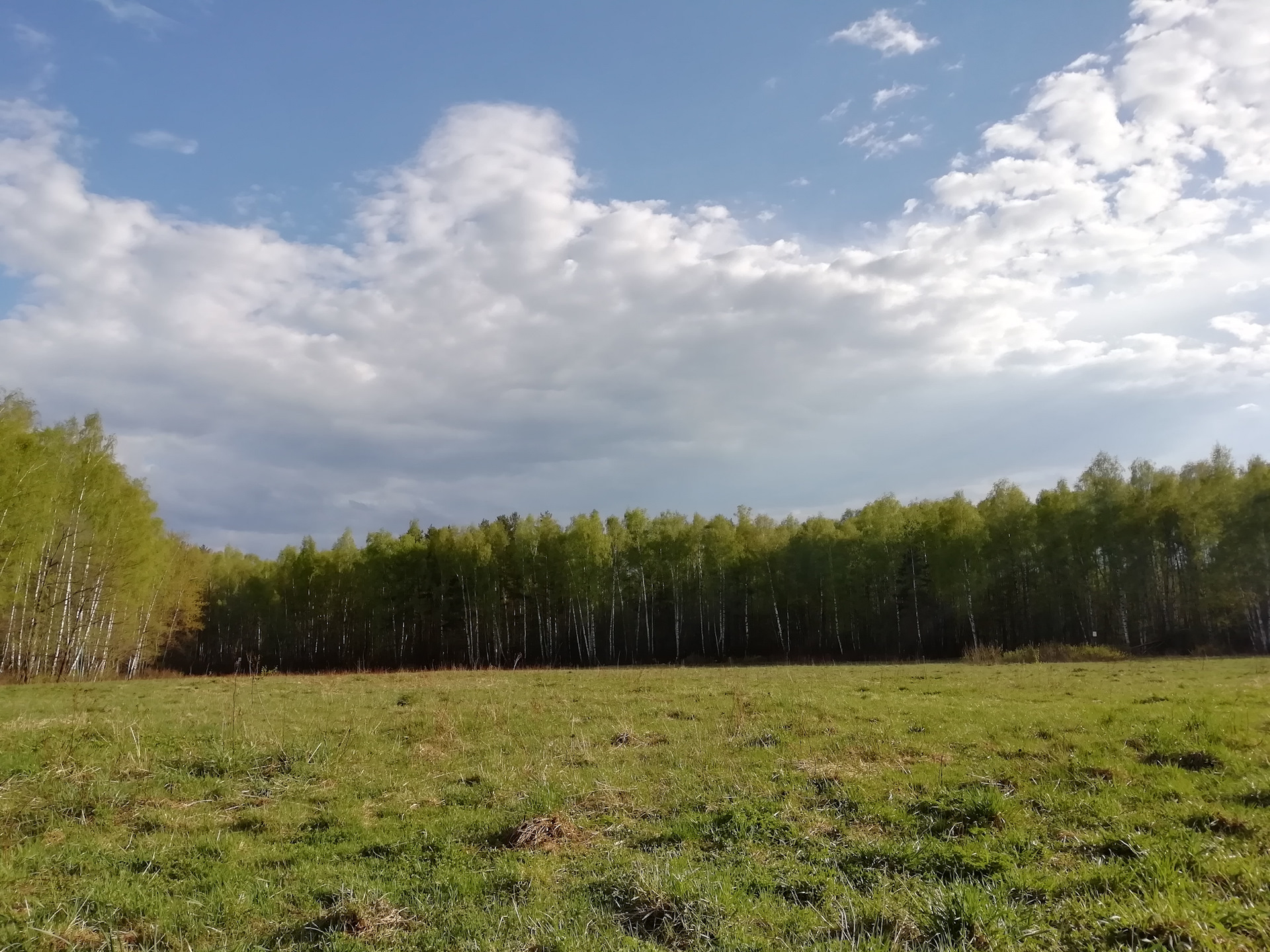 Зоны Лосиного острова. Лосиный остров аномальная зона. ПВО В Лосином острове. РВСН В Лосином острове.