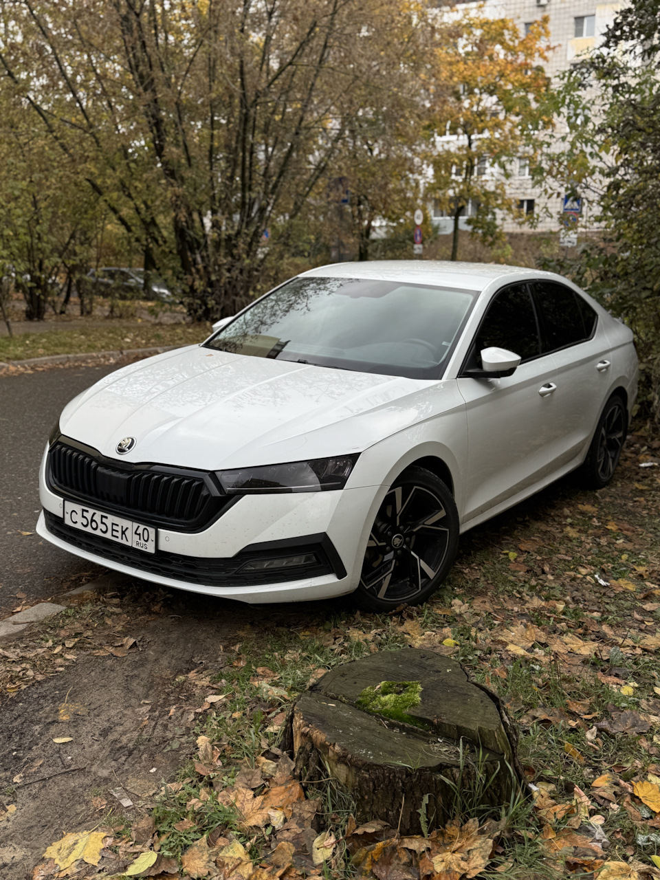 Фотохромная полиуретановая пленка на фары, вместо обычной — Skoda ...