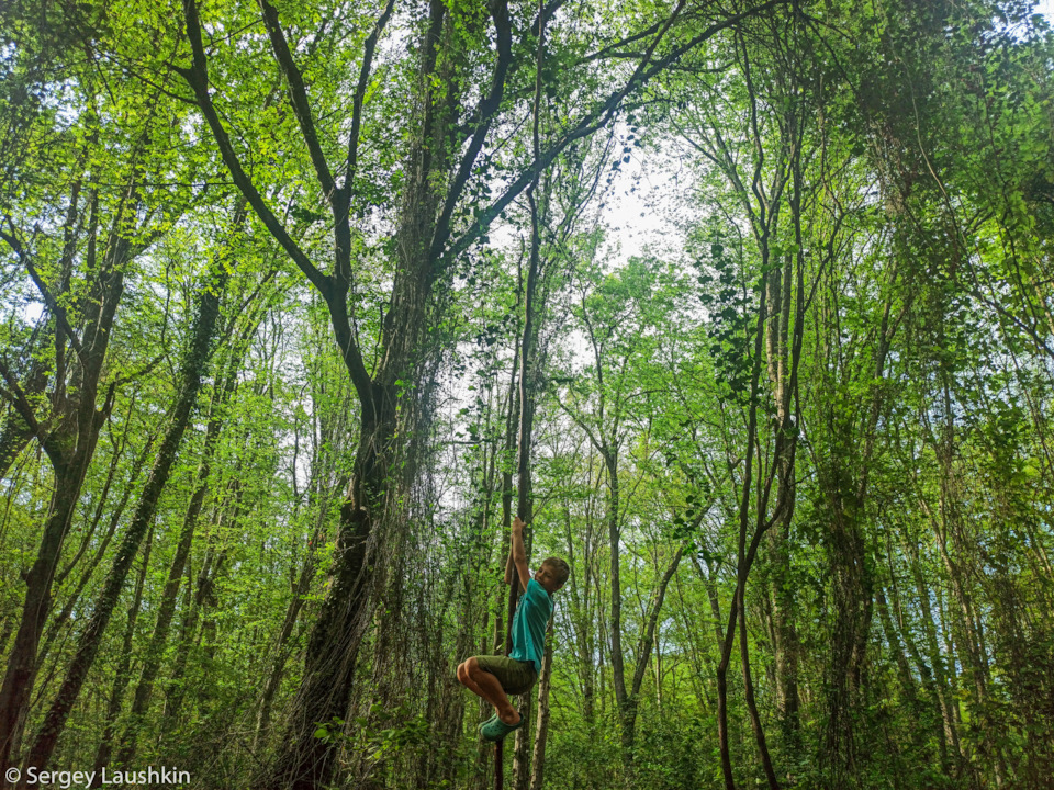 Фото в бортжурнале Mitsubishi Pajero Sport (2G)