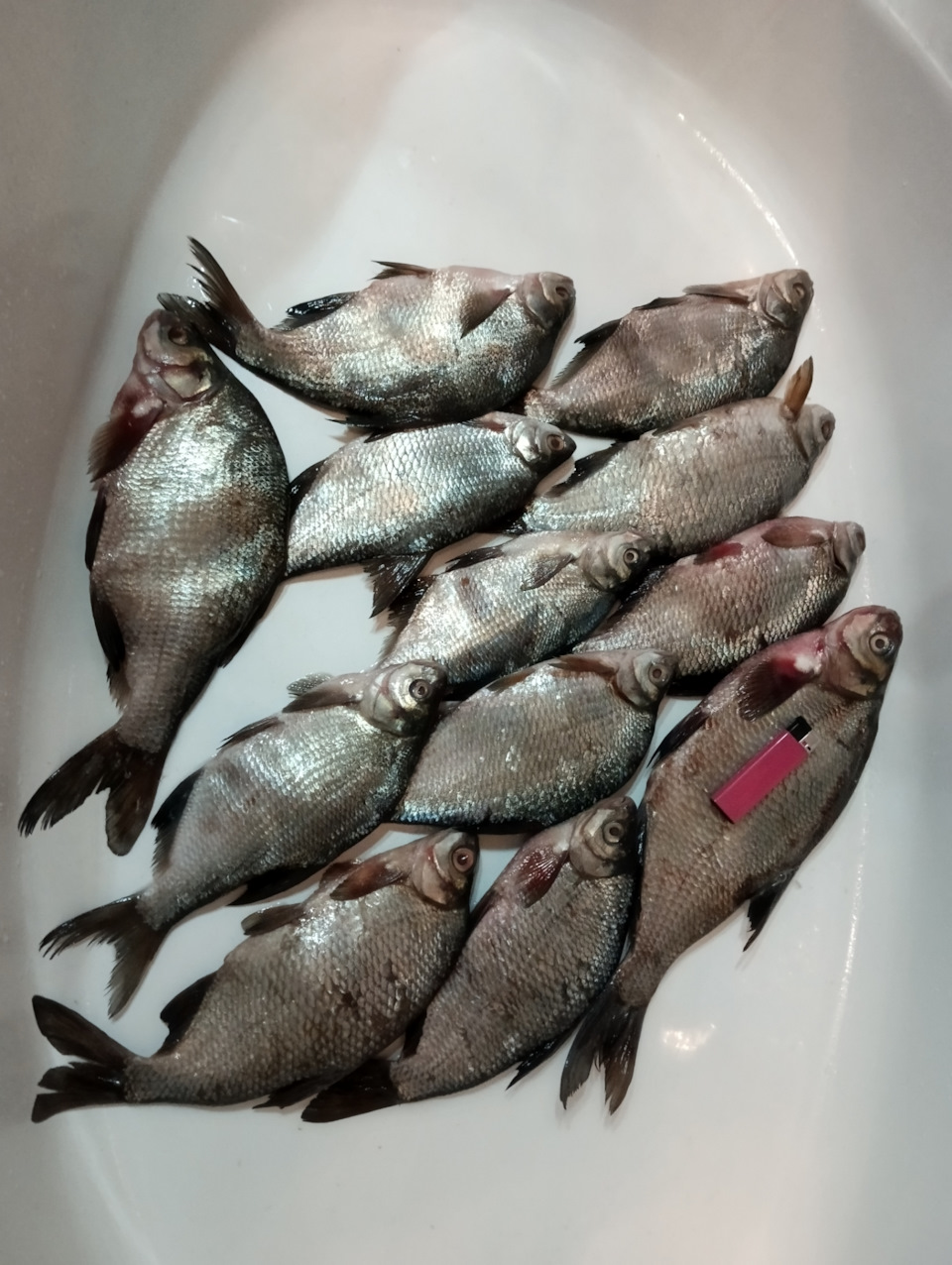 Фото в бортжурнале KIA Sportage (2G)