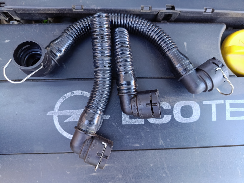 Адепты и представители секты принимайте в свои ряды — покупка ☄️ ...