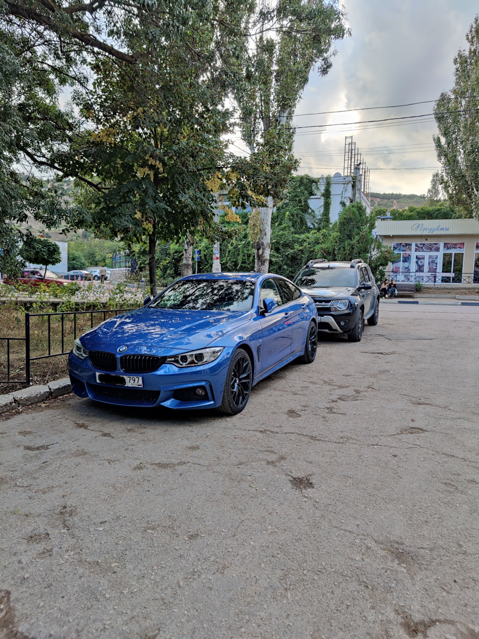 7. Большое путешествие и мнение спустя 8000 км — BMW 4 series Gran Coupe  (F36), 2 л, 2017 года | наблюдение | DRIVE2