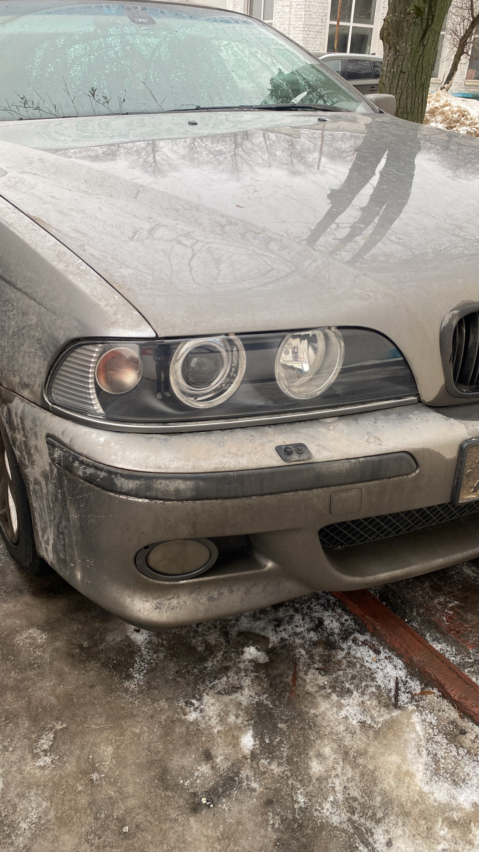Фото в бортжурнале BMW 5 series (E39)