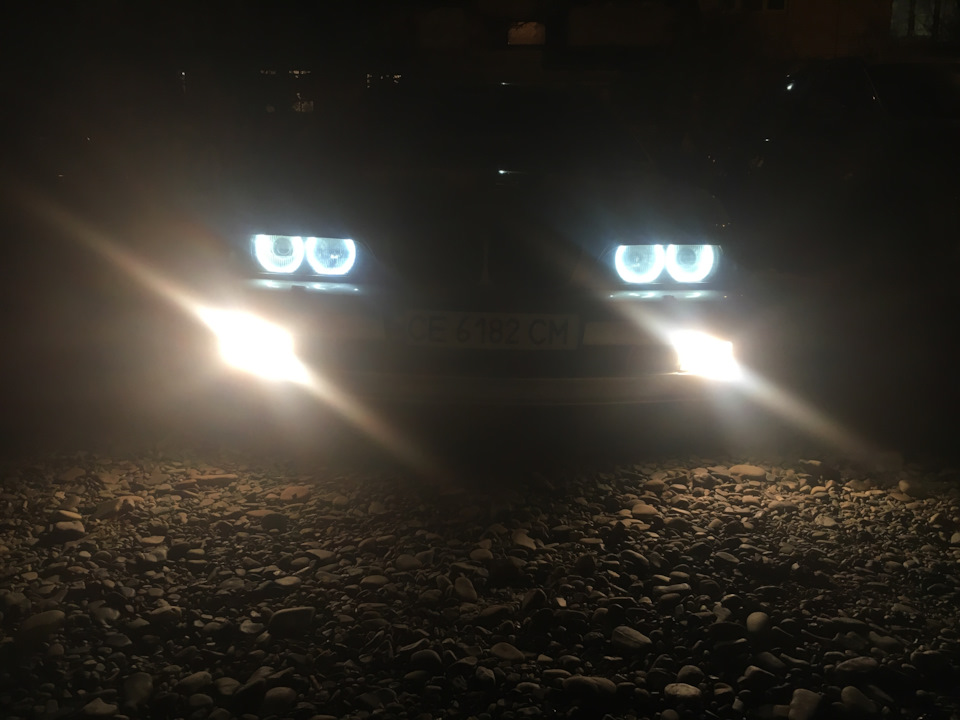 Глазки готовые! — BMW 5 series Touring (E39), 2,5 л, 2000 года ...