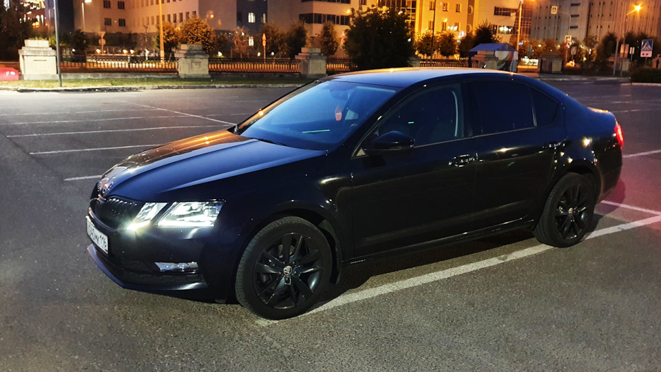 Замена тормозных дисков, колодок и сайлентблоков — Skoda Octavia A7 Mk3 ...