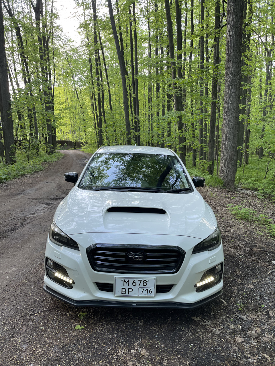 1️⃣5️⃣[YN] Номера по ГОСТу — Subaru Levorg (1G), 1,6 л, 2015 года |  стайлинг | DRIVE2