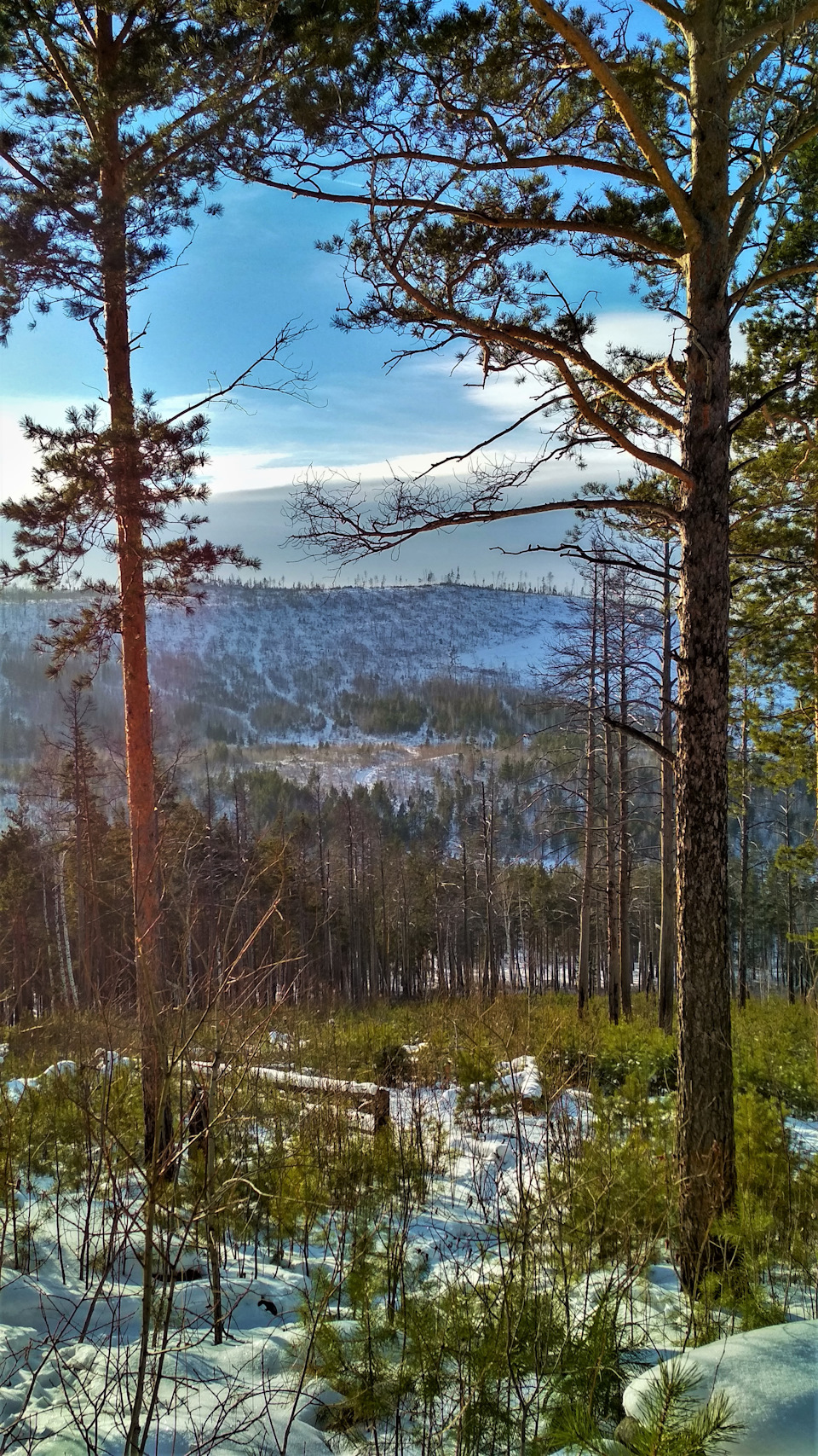 Рядом со скалами разрабатывают карьер — Mitsubishi Pajero Pinin