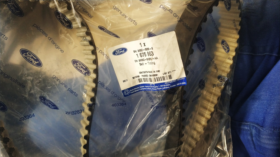 Усиленный ремень от 1,5 EcoBoost — Ford Fiesta (Mk VI). Запчасти на фото: 1675963