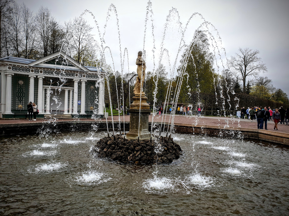 Фото в бортжурнале Audi A4 (B9)