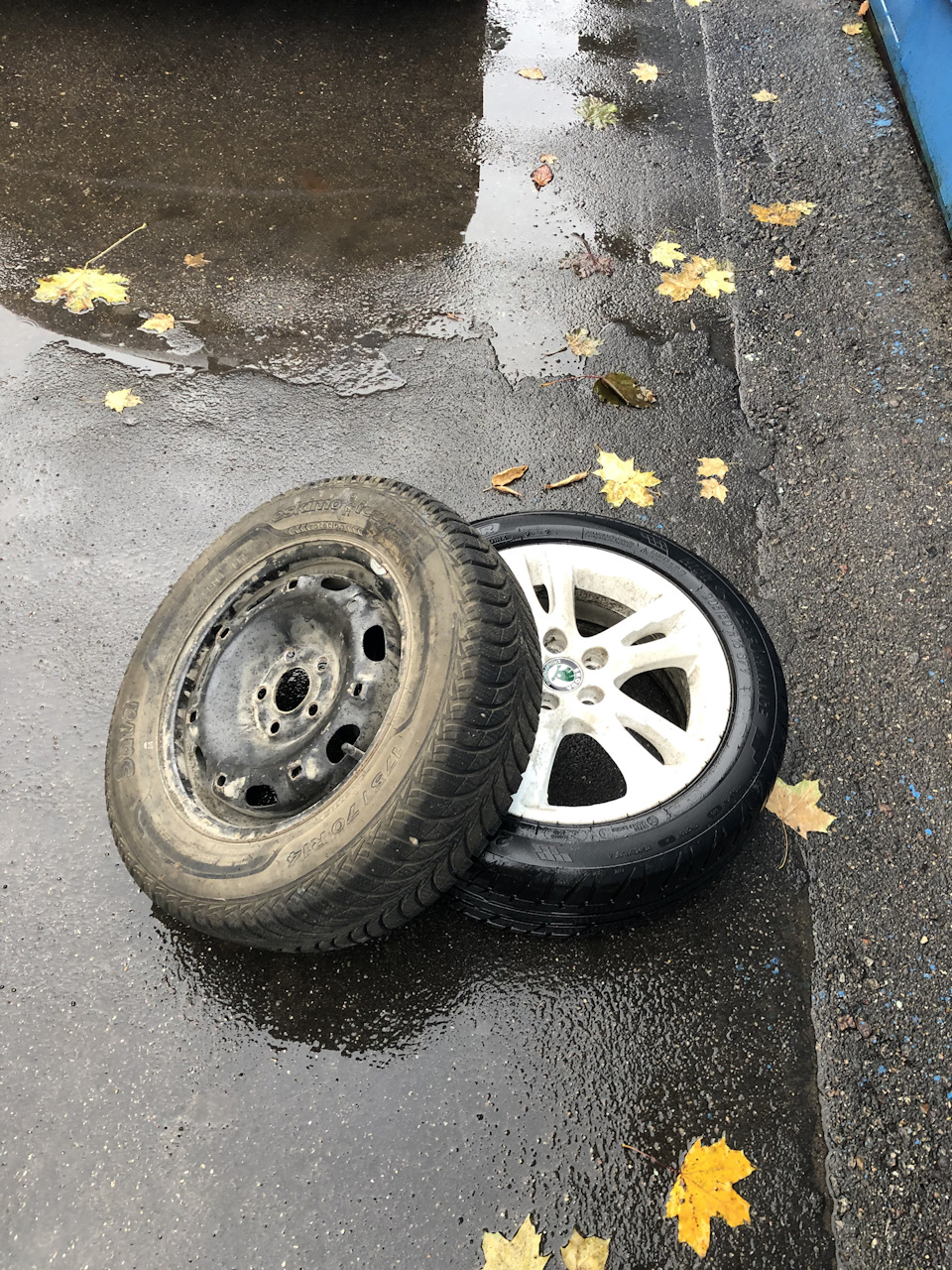 Надо заставить прикупить и на зиму литьё, а то на штампе уже не смотрится тачка( — KIA Ceed (1G)