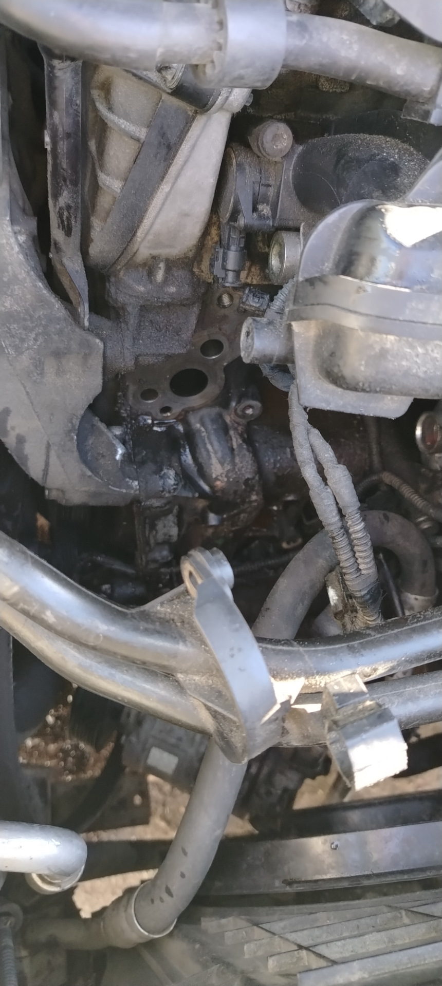 Фото в бортжурнале Skoda Octavia Scout A5 Mk2