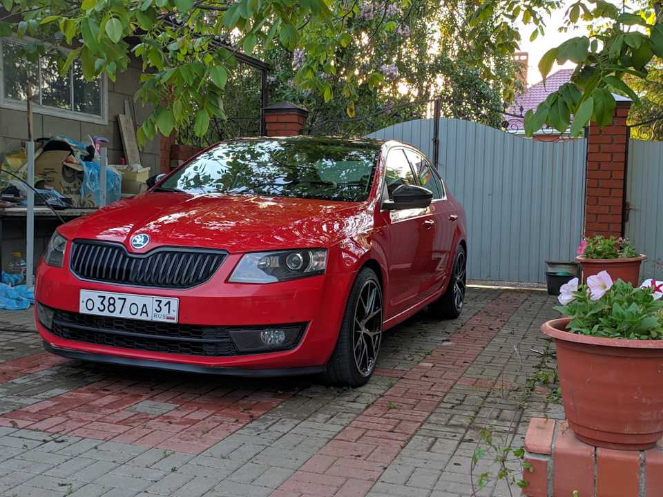 Octavia red. Шкода Октавия красная с черной крышей. Красная Октавия с чёрной крышей.