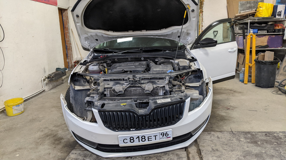 Погнали! — Skoda Octavia A7 Mk3