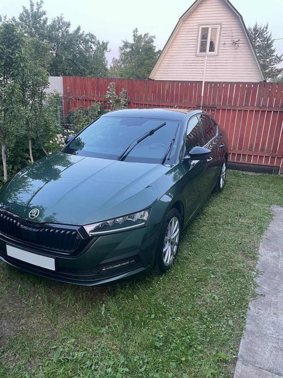 Полировка вручную — Skoda Octavia A8 Mk4, 2 л, 2021 года | стайлинг ...