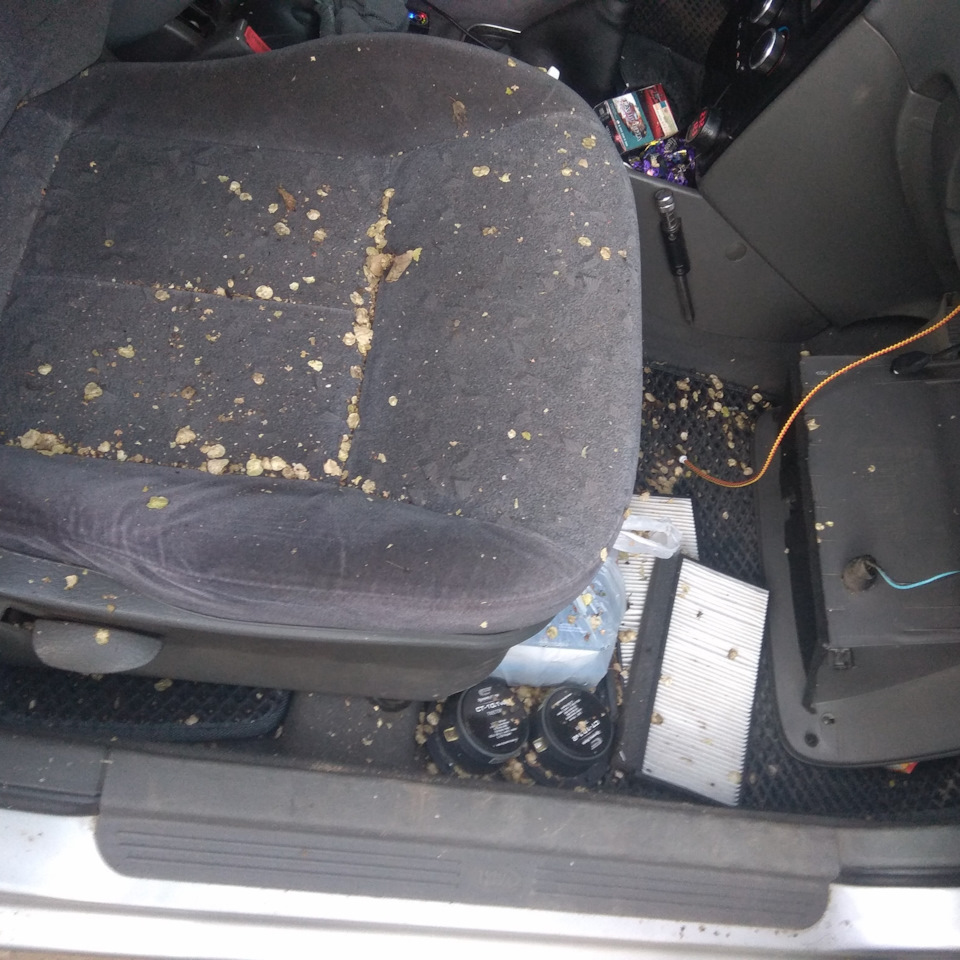 Запотевание лобового стекла — KIA Spectra, 1,6 л, 2006 года ...