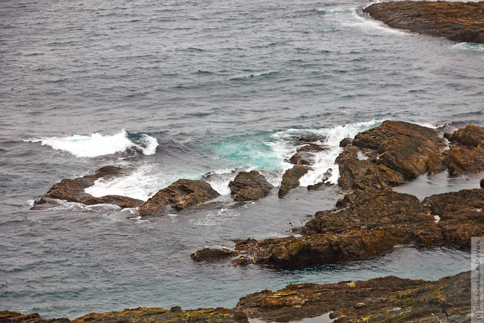 Фото в бортжурнале SsangYong Kyron