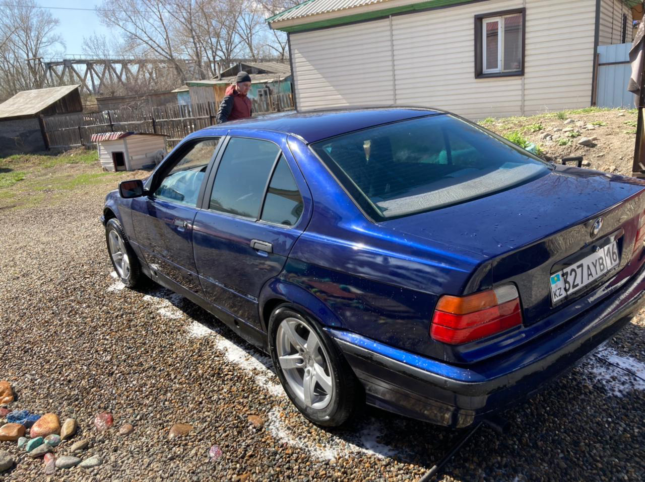 Срочно, Нужна Схема косы и распиновка проводов! — BMW 3 series (E36), 1