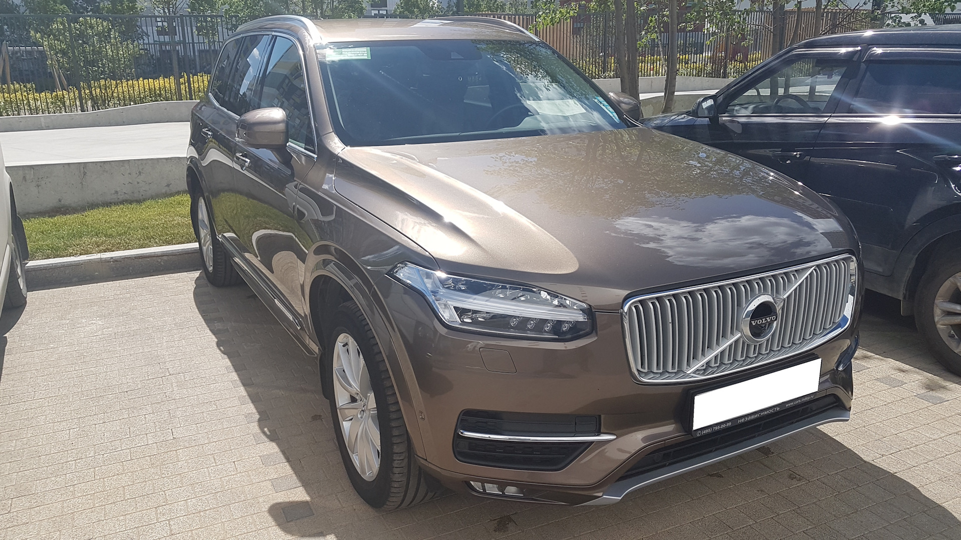 Volvo xc60 Pine Grey