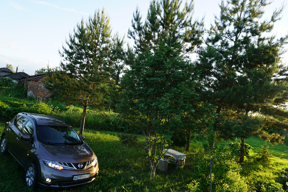 Фото в бортжурнале Nissan Murano II