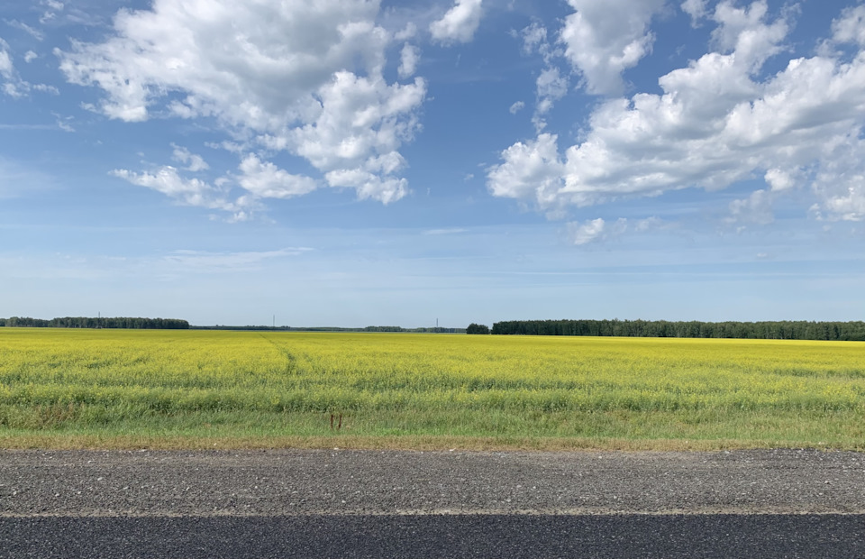 Photo from the logbook Toyota Highlander (XU50)
