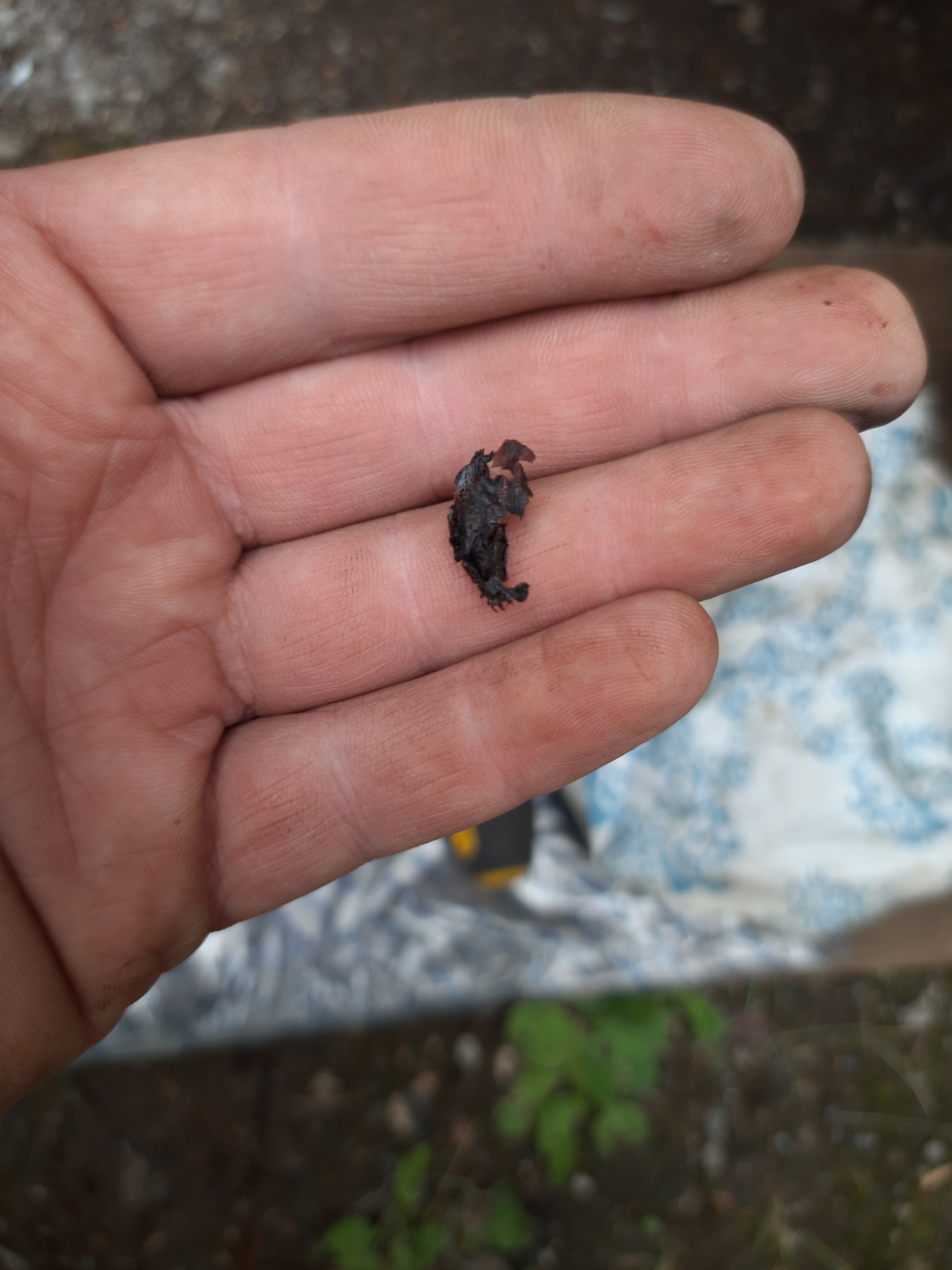 Замена фильтров топливной системы — Chevrolet Lacetti 5D, 1,6 л, 2006 ...