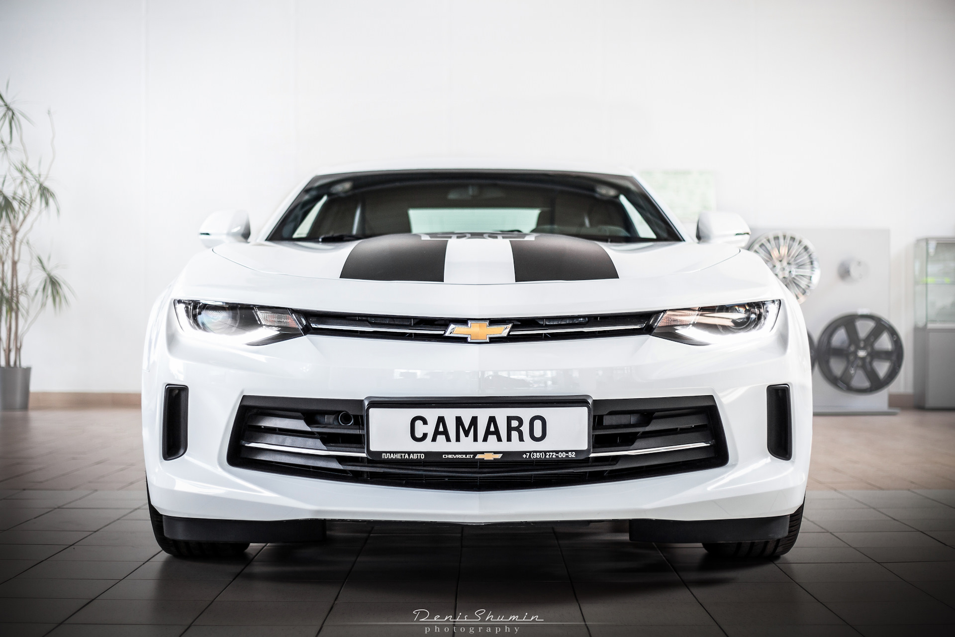 Chevrolet camaro новый. Chevrolet camaro drive2. Chevrolet camaro drive. шевроле камаро перфоманс. Chevrolet camaro (шестое поколение).