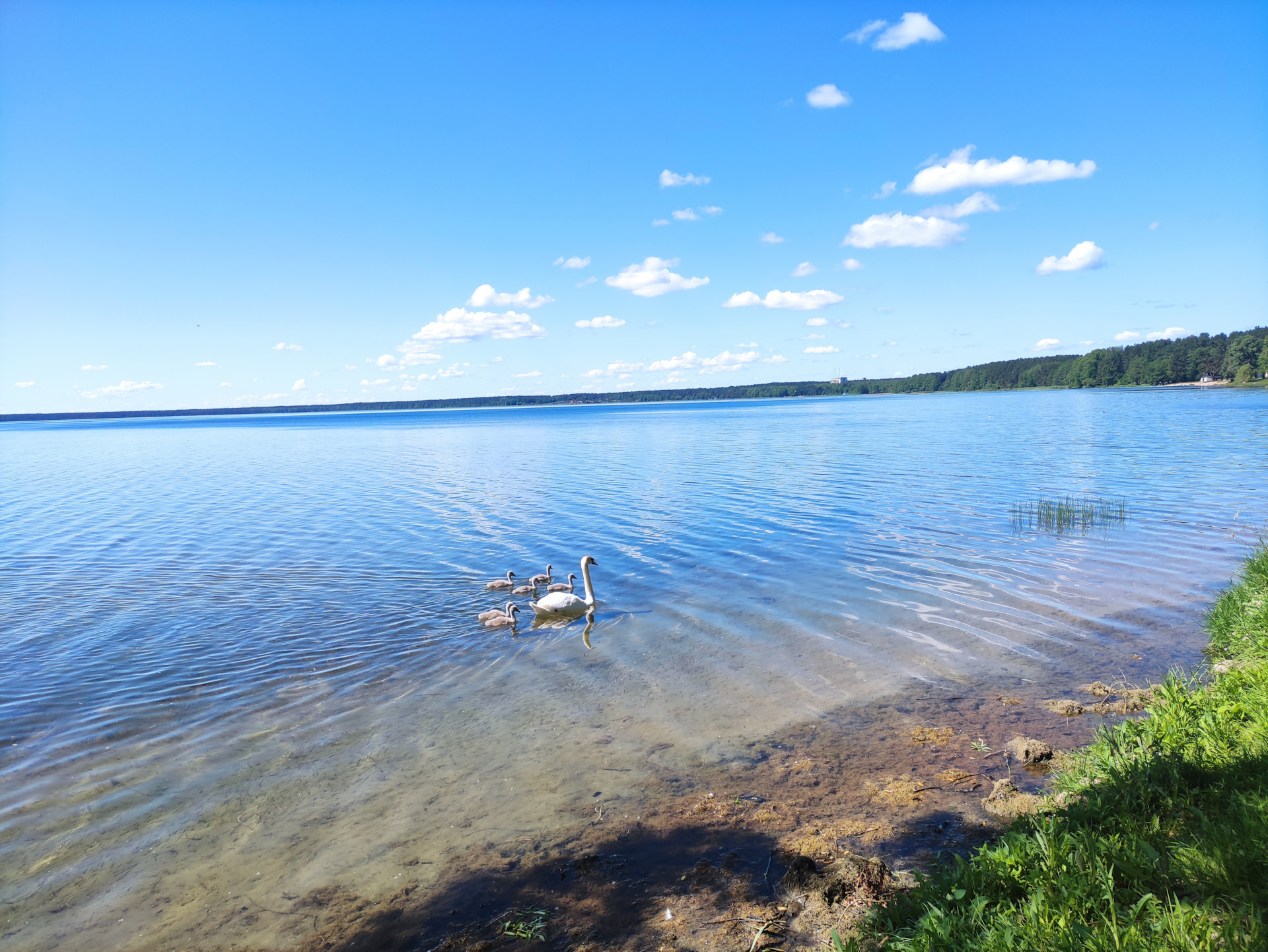 Голубое озеро Уваровка