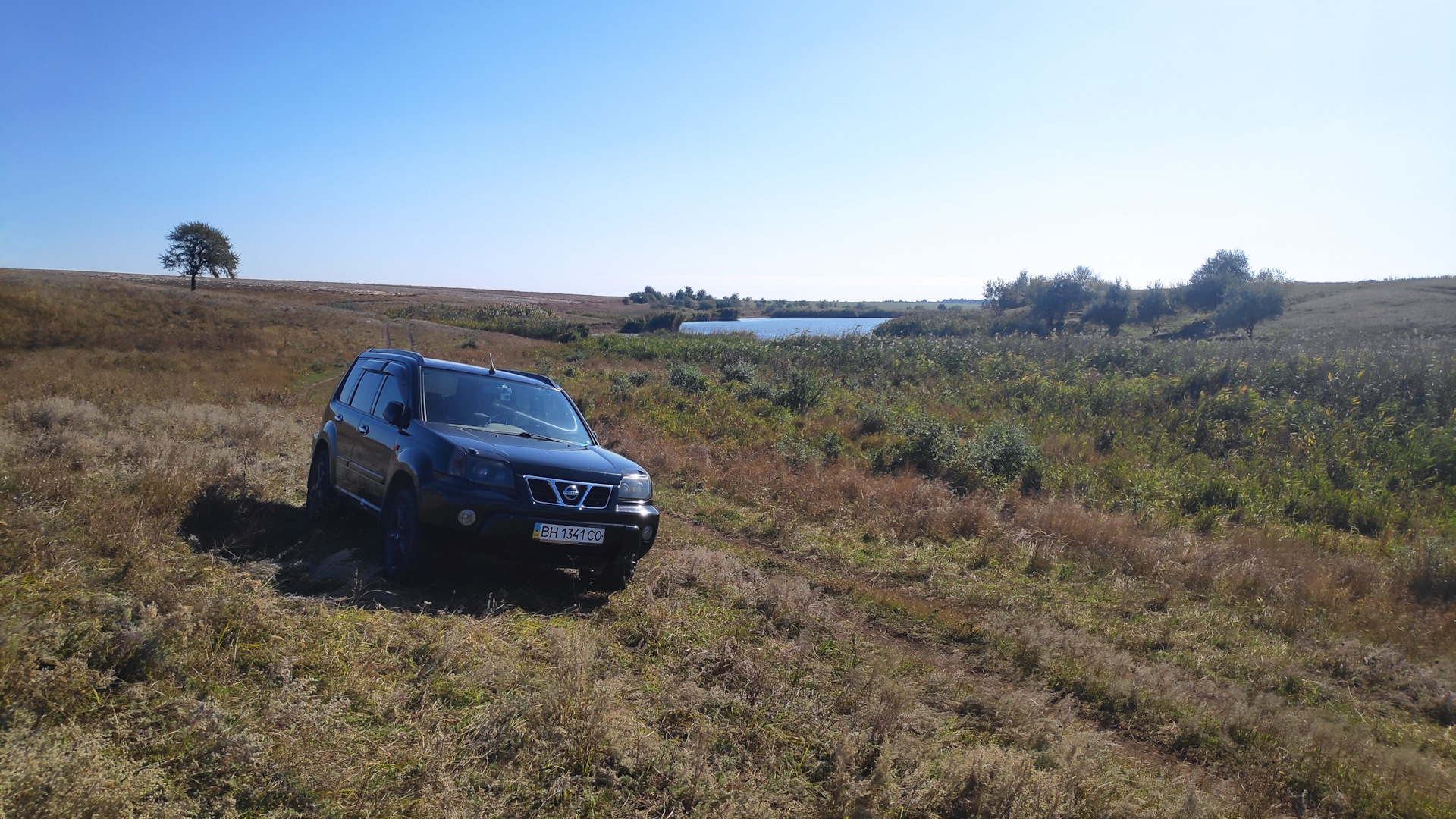 Ниссан x trail t31. Газ трейл. Nissan x trail t 30 columbia. Газ трейл. Ниссан х-трейл т31 2011.