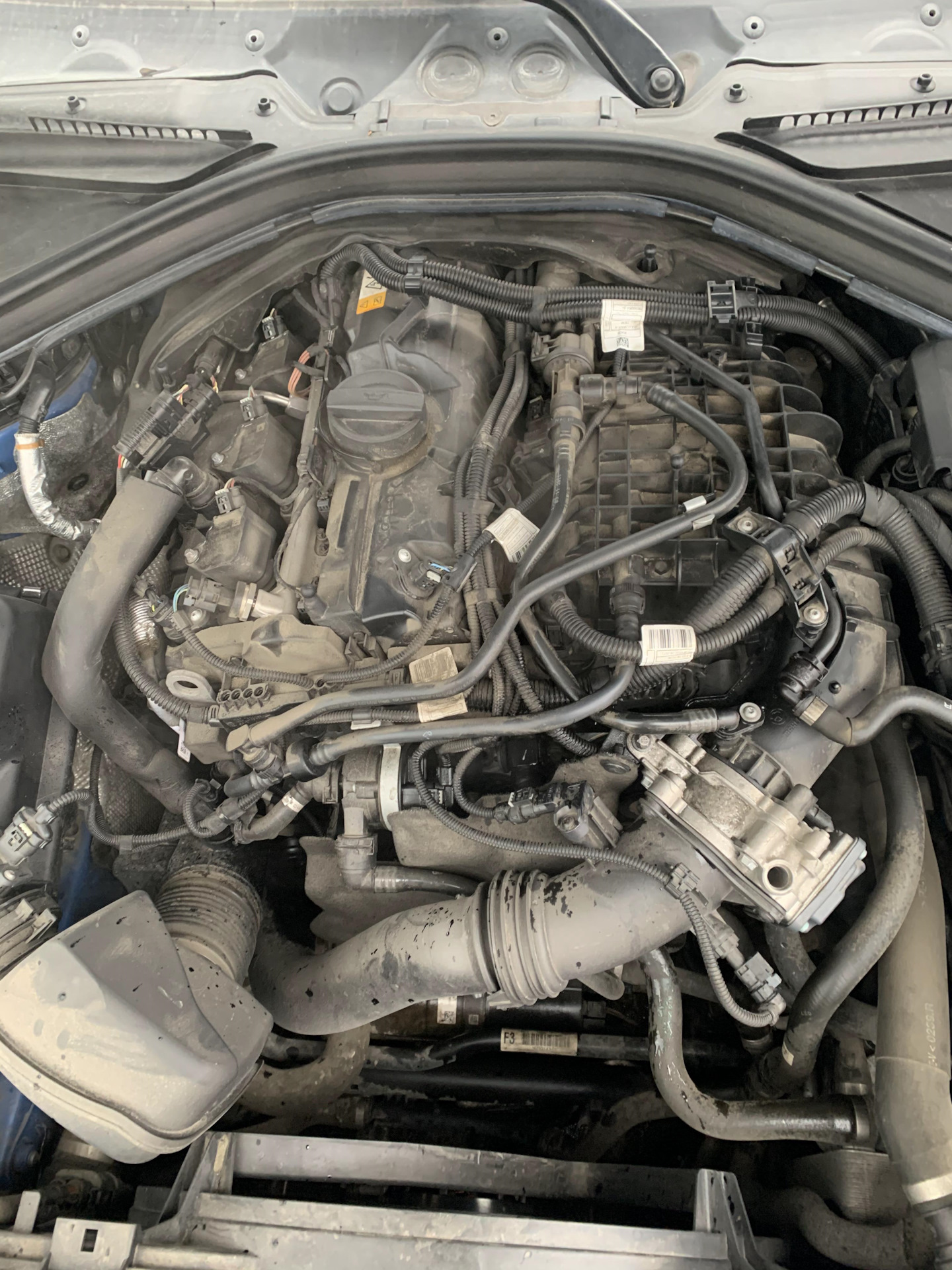 Потек антифриз или бнв не ломается — BMW 3 series (F30), 2 л, 2016 года ...