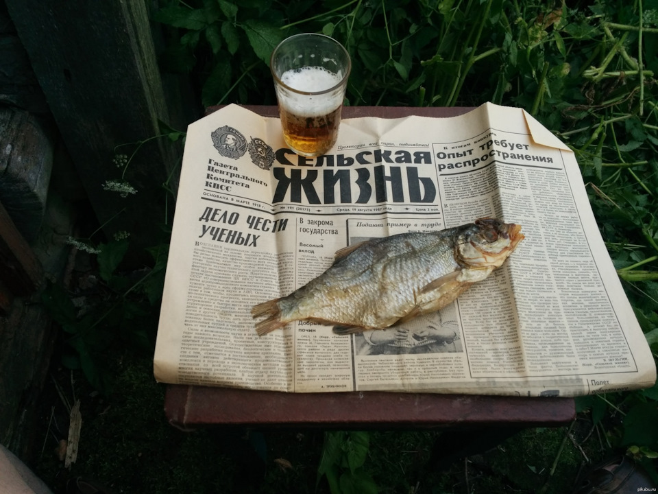 рыба на газете картина. Смотреть фото рыба на газете картина. Смотреть картинку рыба на газете картина. Картинка про рыба на газете картина. Фото рыба на газете картина рыба на газете картина. Смотреть фото рыба на газете картина. Смотреть картинку рыба на газете картина. Картинка про рыба на газете картина. Фото рыба на газете картина