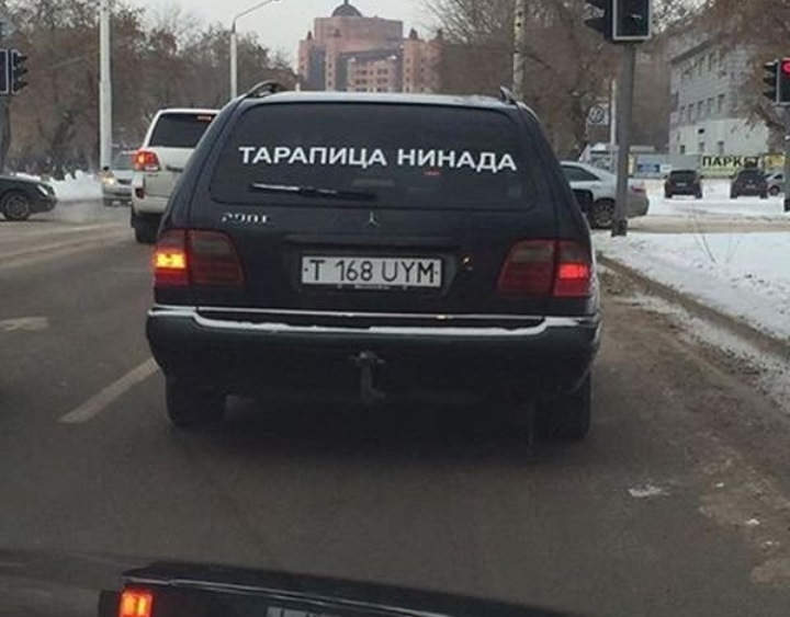 Тарапица нинада картинки