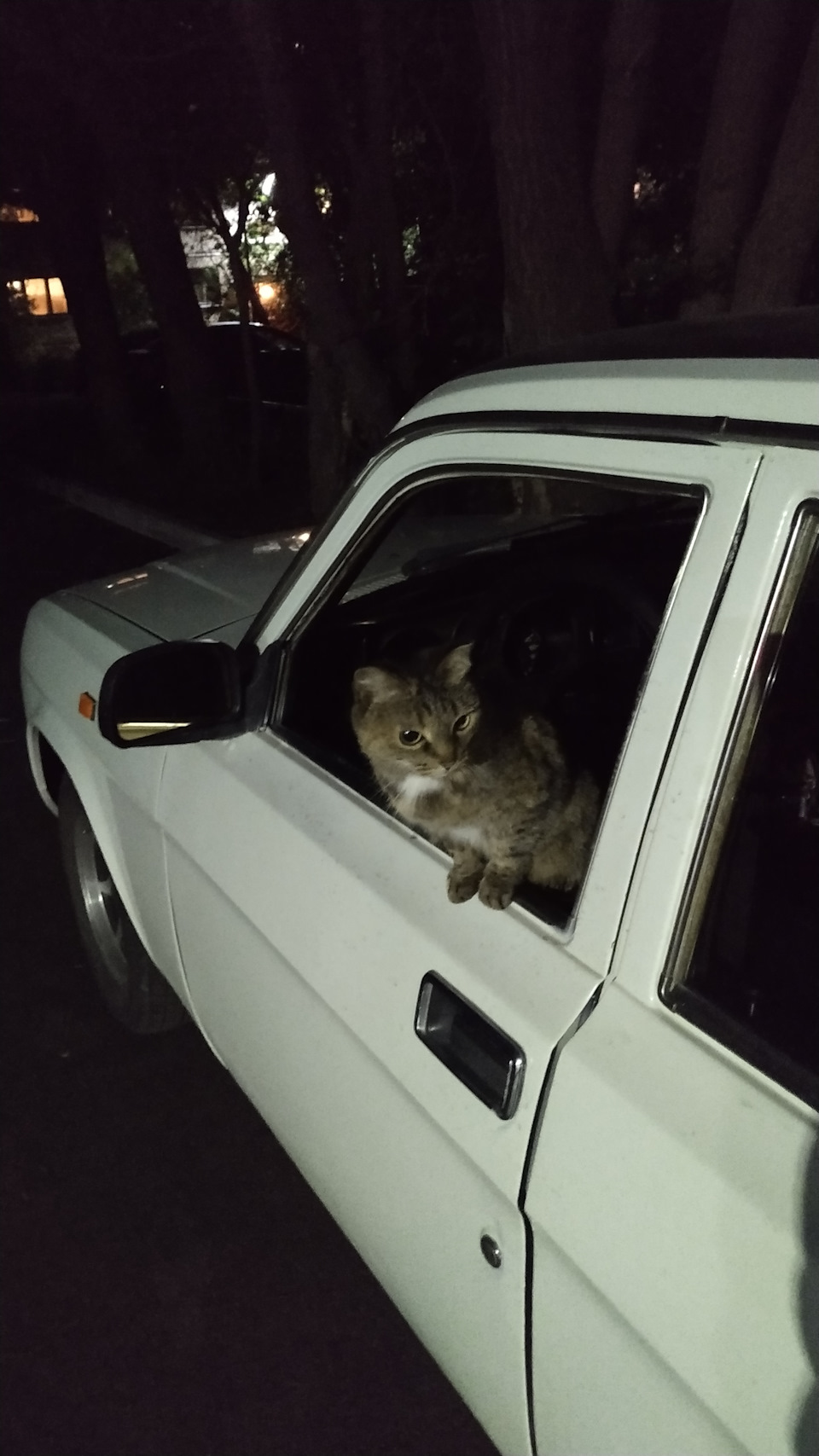 Установка штанг толкателя нового образца от умз 4216 — ГАЗ 31029, 2,4 л ...