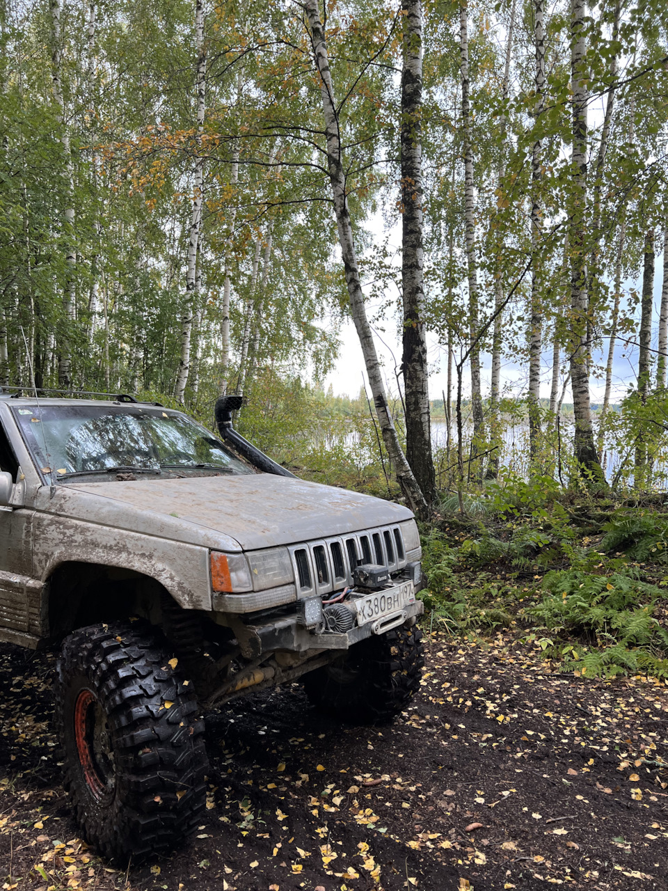 За грибами — Jeep Grand Cherokee (ZJ), 4 л, 1994 года | путешествие | DRIVE2