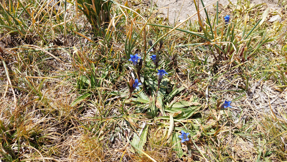 Фото в бортжурнале Mitsubishi Pajero (3G)