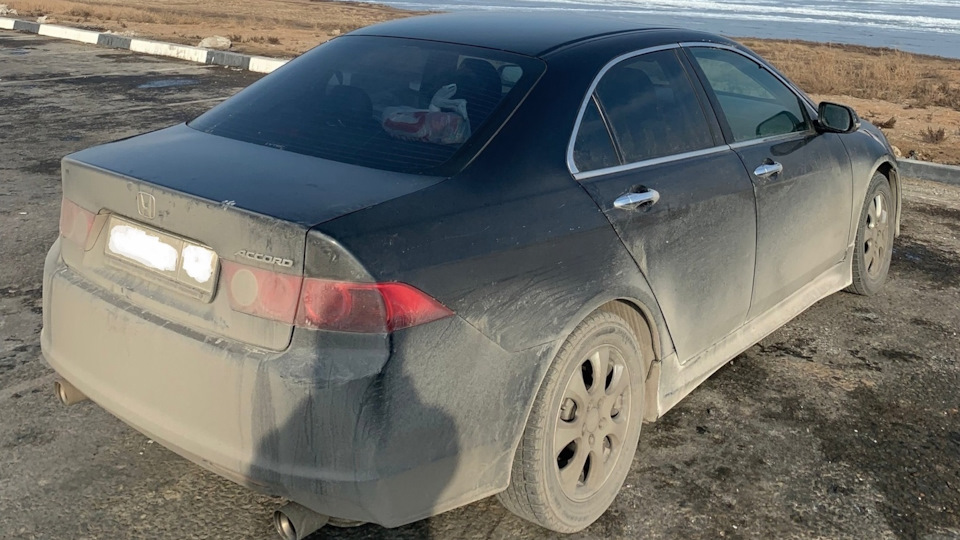 Honda Accord クレイジーモンキー