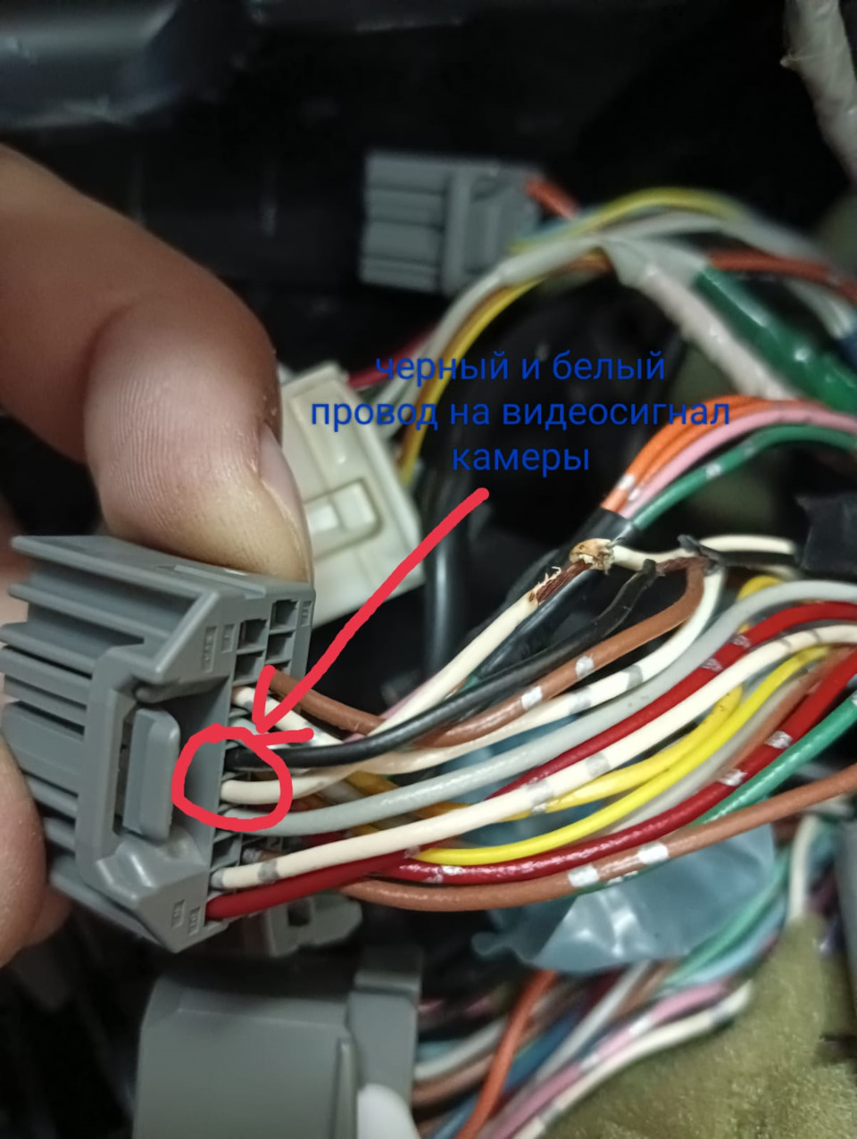 Фото в бортжурнале Honda Freed Spike