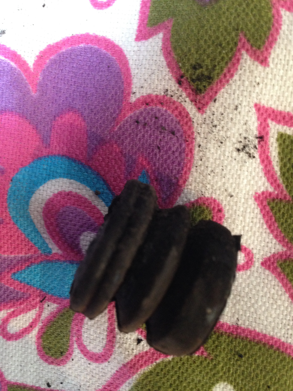 Фото в бортжурнале Renault Logan (1G)