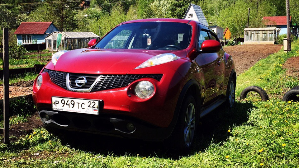 Плюсы минусы ниссан. Nissan Juke 1 поколение. Ниссан Жук 1,36 турбо. Nissan Juke Смоленск. Ниссан Жук Ивановка.