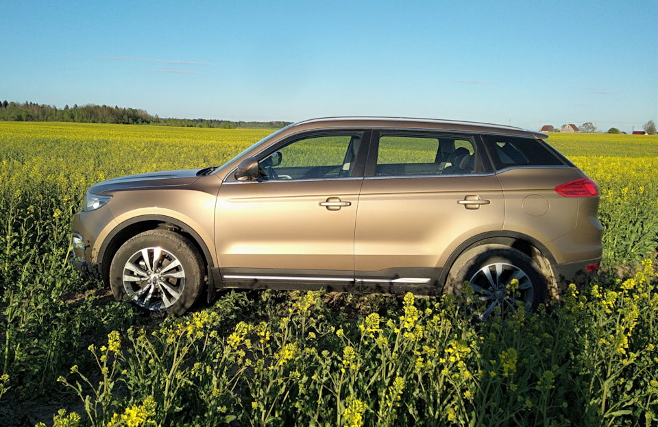 Фотография «Первая летняя вылазка на природу»