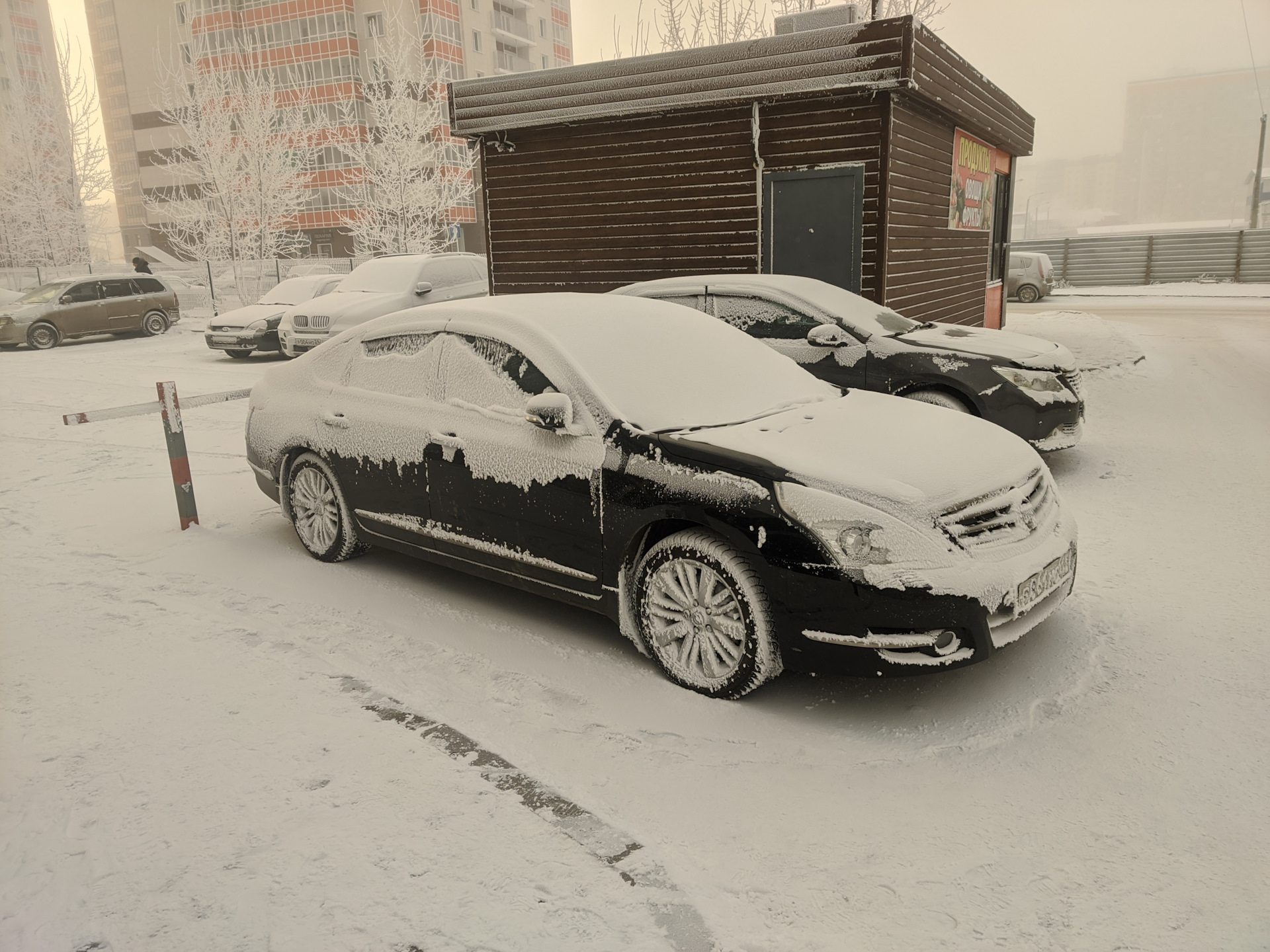 7 — Настройка автозапуска по температуре Scher-Khan Magicar 7,8,9 — Nissan  Teana (J32), 2,5 л, 2011 года | наблюдение | DRIVE2